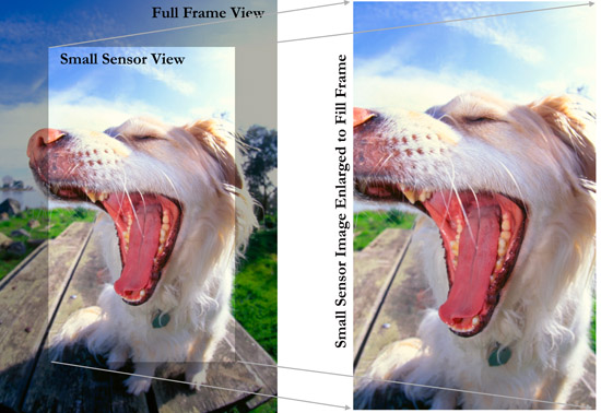 images/FAQ/Tech/sensor-graphic.jpg