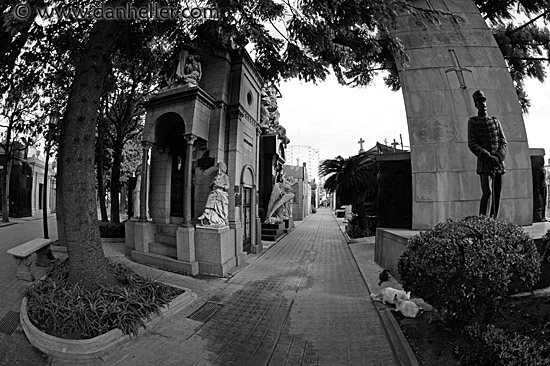 fisheye-view-4.jpg