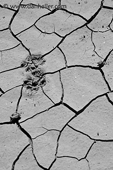 cracked-mud-bw.jpg