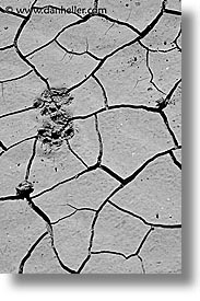 argentina, black and white, cracked, iguazu, latin america, mud, vertical, photograph