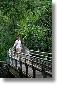 argentina, iguazu, jungle, latin america, paths, vertical, photograph