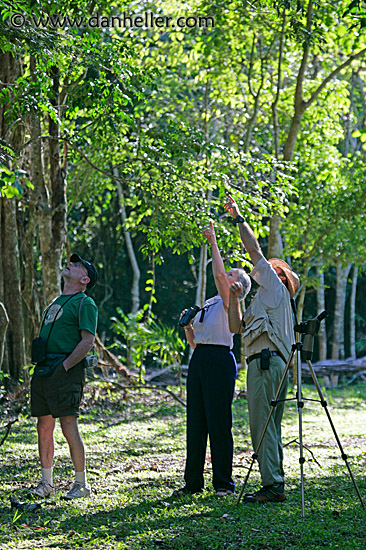 bird-watchers-2.jpg