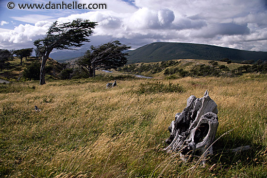 tierra-del-fuego-scenic-13.jpg