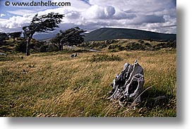 argentina, del, fuego, horizontal, latin america, scenics, tierra, tierra del fuego, photograph