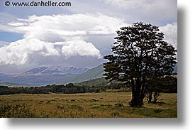 argentina, del, fuego, horizontal, latin america, scenics, tierra, tierra del fuego, photograph