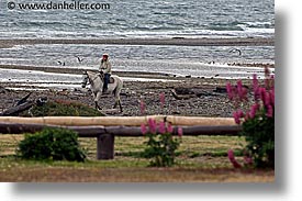 argentina, beaches, horizontal, horseback, latin america, riding, ushuaia, photograph