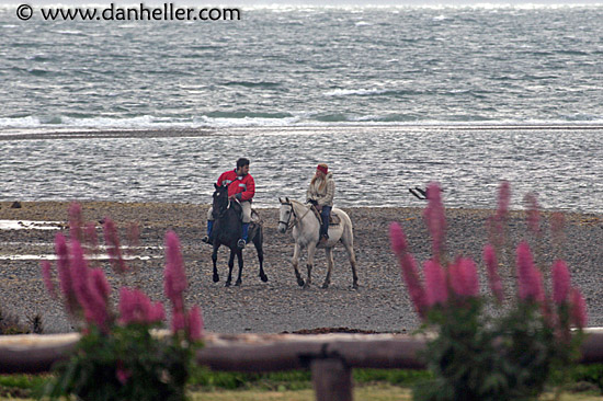 beach-horseback-riding-2.jpg