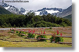 argentina, horizontal, latin america, lupins, mountains, ushuaia, photograph