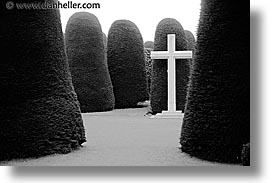 chile, crosses, graveyard, horizontal, latin america, punta arenas, trees, photograph