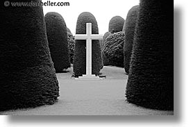 chile, crosses, graveyard, horizontal, latin america, punta arenas, trees, photograph