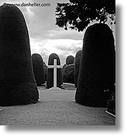 chile, crosses, graveyard, latin america, punta arenas, trees, vertical, photograph