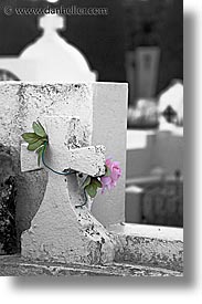 chile, graves, graveyard, latin america, punta arenas, roses, vertical, photograph