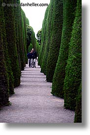 chile, graveyard, latin america, punta arenas, trees, vertical, walk, walls, photograph