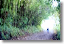 abstracts, artsie, costa rica, horizontal, latin america, trees, tunnel, photograph