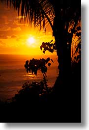 corco, costa rica, latin america, sunsets, vertical, photograph