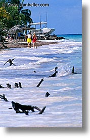 images/LatinAmerica/Cuba/CayoLaVisa/beach-1.jpg