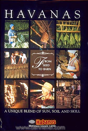 cigar-poster.jpg