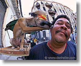images/LatinAmerica/Cuba/Dogs-n-Cats/dog02.jpg