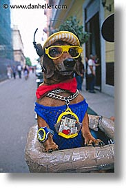 images/LatinAmerica/Cuba/Dogs-n-Cats/tourist-magnet.jpg