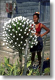 caribbean, cuba, eggs, flowers, havana, island nation, islands, latin america, plants, south america, vertical, photograph