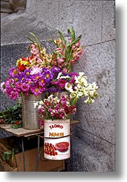 caribbean, cuba, flowers, havana, island nation, islands, latin america, south america, vertical, photograph