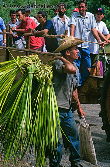 sugarcane-farmer.jpg
