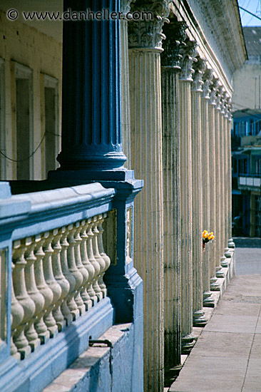 pillars-n-flowers.jpg