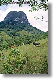 caribbean, countryside, cuba, havana, island nation, islands, latin america, scenics, south america, vertical, photograph
