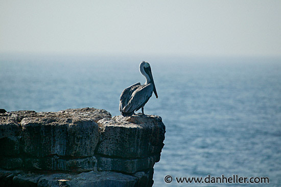 cliff-perch.jpg