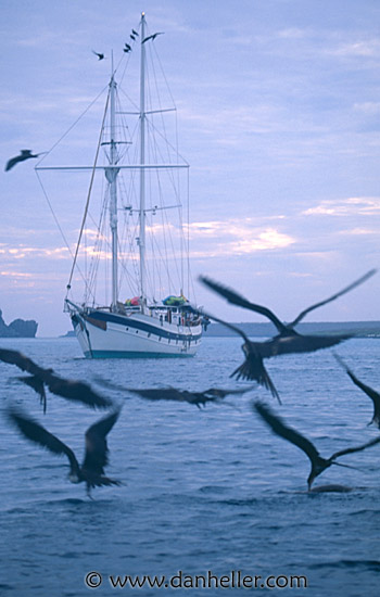 birds-boat-dusk.jpg