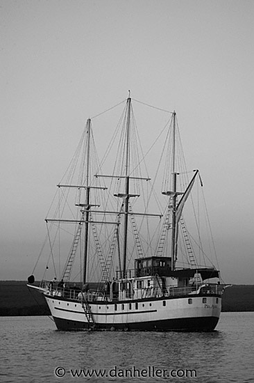 sagitta-bw-1.jpg