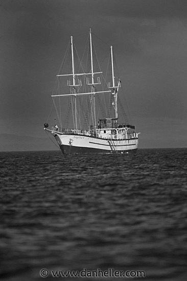 sagitta-bw-4.jpg