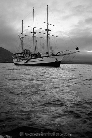 sagitta-bw-8.jpg