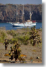 bay, boats, ecuador, equator, faralote, galapagos, galapagos islands, islands, latin america, ocean, pacific ocean, sagitta, sails down, south pacific, vertical, water, photograph