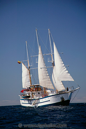 sails-up-07.jpg