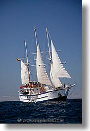 boats, ecuador, equator, galapagos, galapagos islands, islands, latin america, ocean, pacific ocean, sagitta, sails, sails up, south pacific, vertical, water, photograph