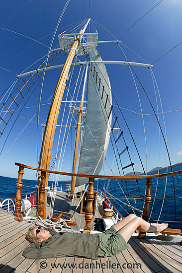 sails-up-10.jpg