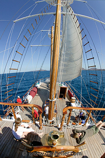 sails-up-12.jpg