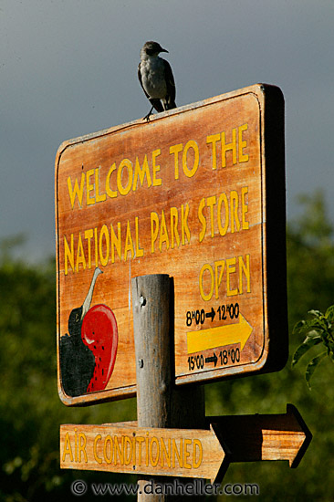 park-store-sign.jpg