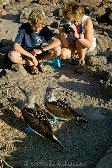 photo-boobies-06.jpg