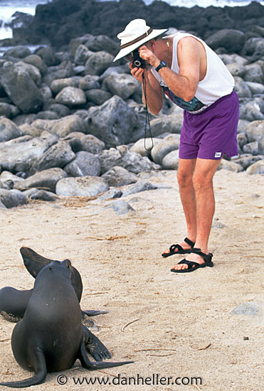 sea_lion-photo.jpg