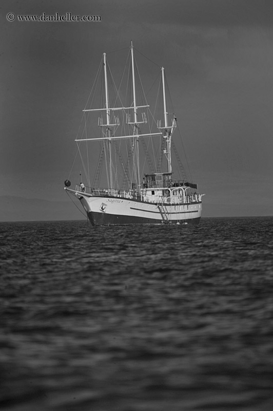 sagitta-bw-4.jpg