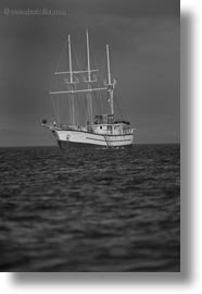 black and white, boats, ecuador, equator, galapagos islands, latin america, sagitta, vertical, photograph