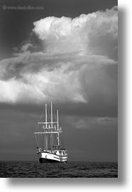black and white, boats, ecuador, equator, galapagos islands, latin america, sagitta, vertical, photograph