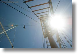 boats, ecuador, equator, galapagos islands, horizontal, latin america, sagitta, photograph