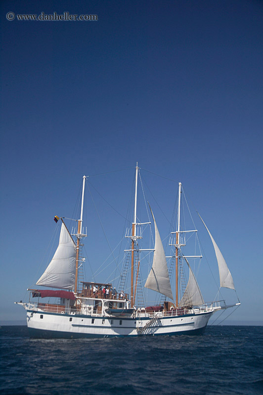 sails-up-03.jpg