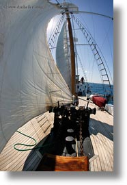 boats, ecuador, equator, galapagos islands, latin america, sagitta, sails, sails up, vertical, photograph