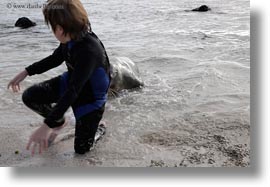 beaches, ecuador, equator, galapagos islands, horizontal, jacks, latin america, natural habitat, ocean, people, sand, sea lions, tourists, wetsuit, photograph