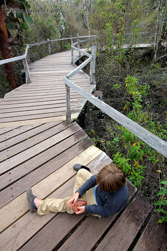 wood-plank-walkway-04.jpg