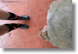 ecuador, equator, galapagos islands, horizontal, jacks, latin america, natural habitat, people, shells, tortoises, tourists, photograph